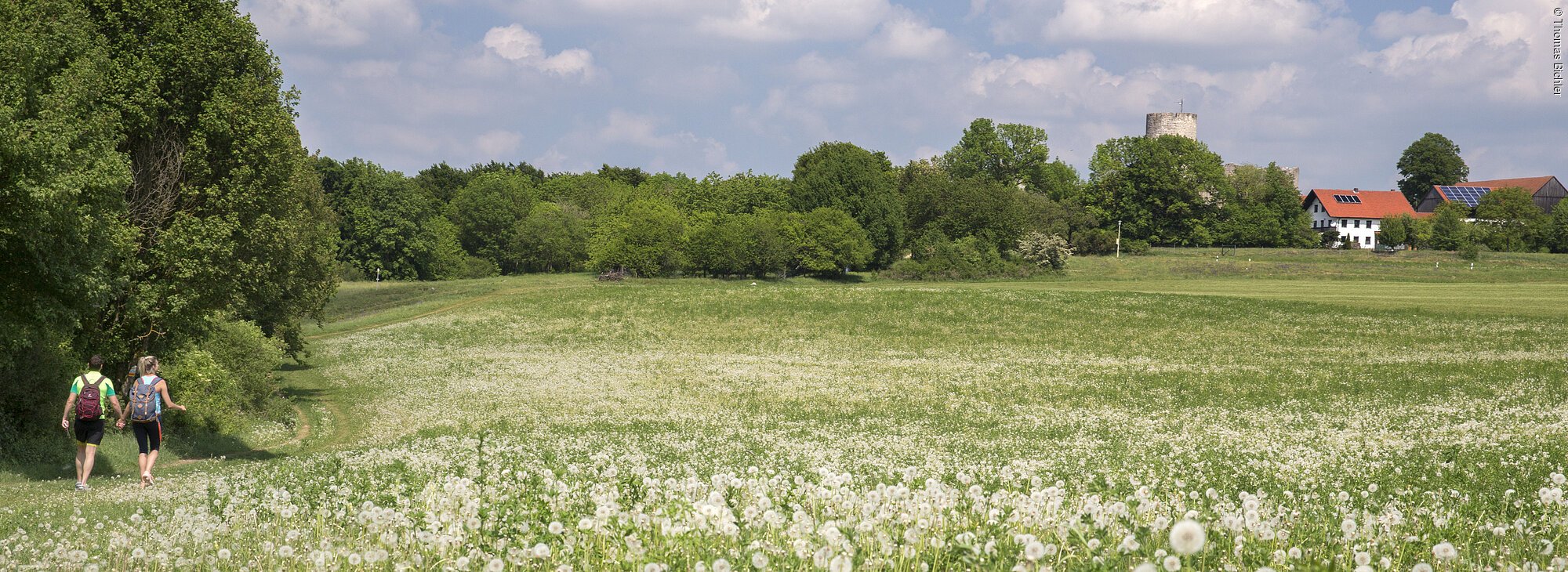 Zeugenbergrunde TouristInformation der Stadt Neumarkt