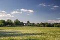 Ausblick zur Burgruine Wolfstein über Löwenzahnfelder