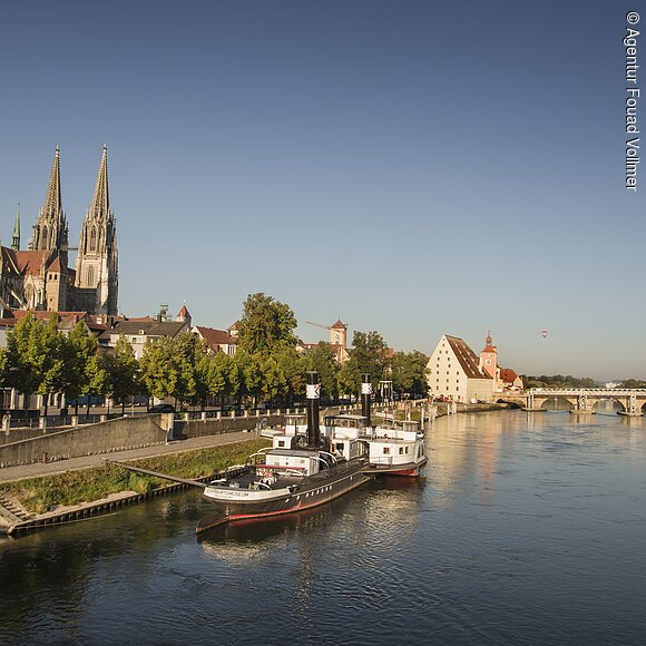 Regensburg mit Dom und Steinerner Brücke