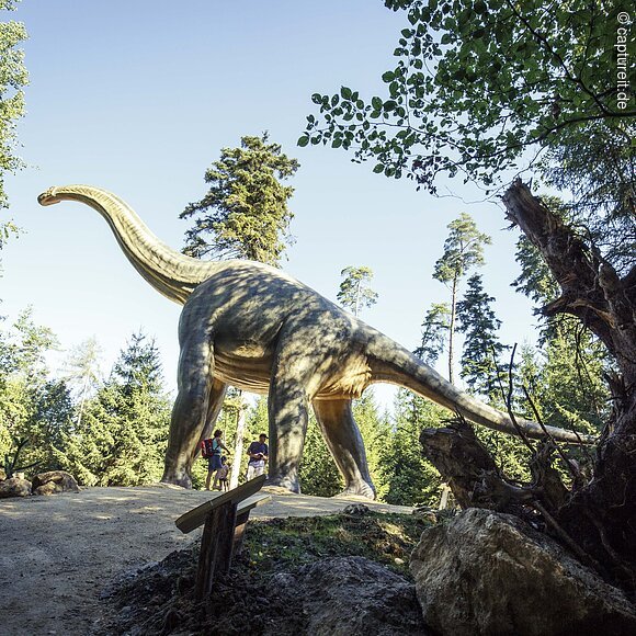 Dinosaurier-Park Altmühltal GmbH