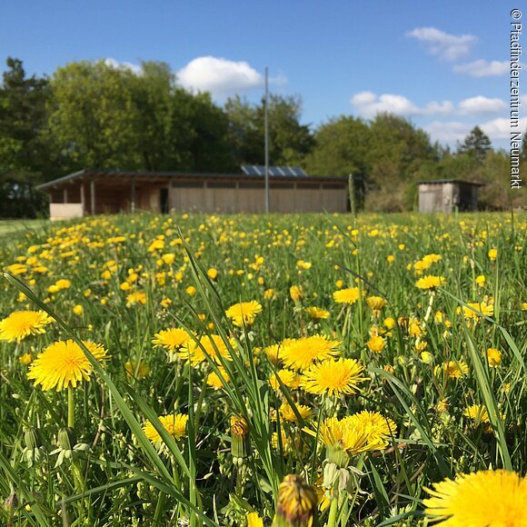 Bildnachweis Matthias Platzek