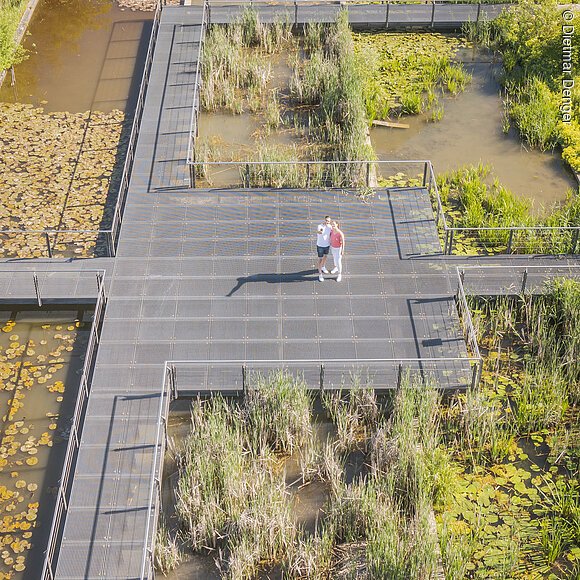 Landesgartenschaugelände