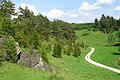 Schwarze Laber Radweg