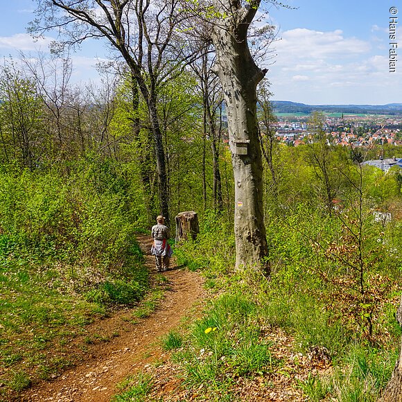 Panoramaweg Neumarkt
