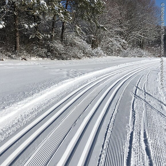 Loipen im Nordic Zentrum Neumarkt-Hilzhofen