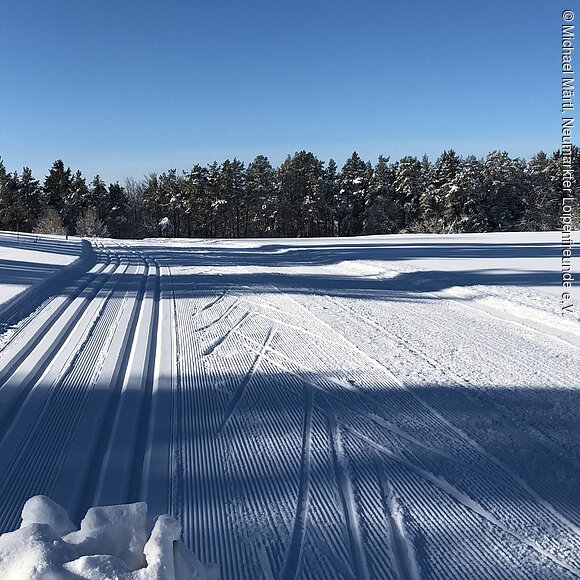 Loipen im Nordic Zentrum Neumarkt-Hilzhofen