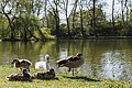 Schlossweiher, Neumarkt in der Oberpfalz, Deutschland,