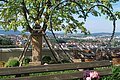 Ausblick vom Berghotel Sammüller Blick von Terrasse mit Holzbänken und Tischen auf Stadt, Baum mit Stütze und Herz aus Metall im Vordergrund.