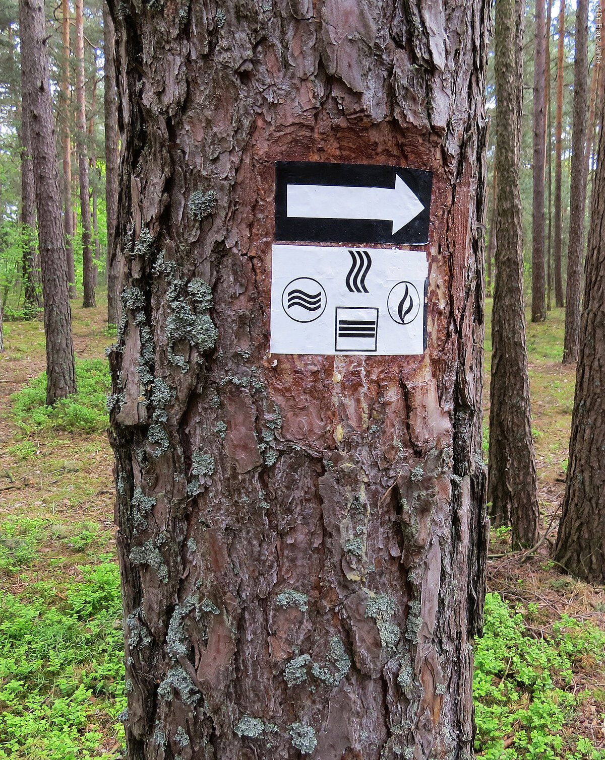 4-Elemente-Weg Neumarkt