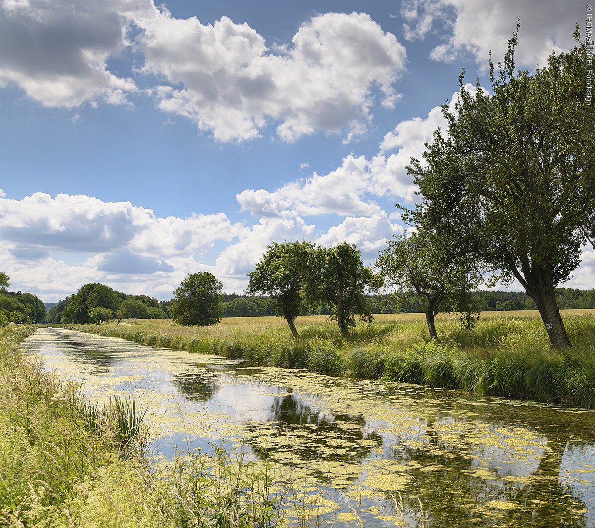 Ludwig-Donau-Main-Kanal in Berg bei Neumarkt Deutschland, Bayern, Oberpfalz, nahe Neumarkt, König-Ludwig-Kanal-Radweg, ebike, fahrradfahren, engl. Germany, Bavaria, Upper Palatinate, close to Neumarkt, part of König-Ludwig-Kanal- bike way, Ludwigskanal, ebike, biking