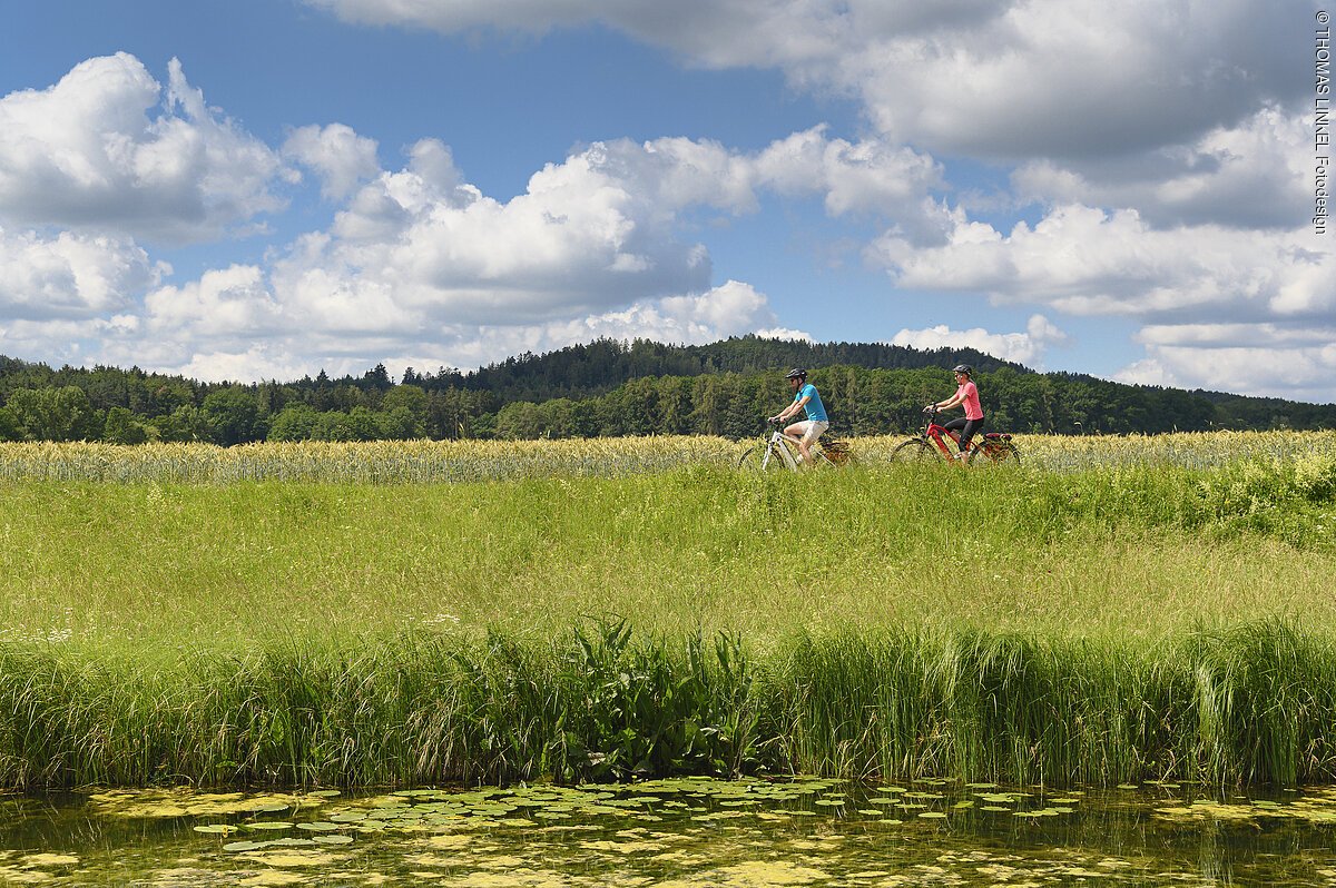 Deutschland, Bayern, Oberpfalz, nahe Neumarkt, König-Ludwig-Kanal-Radweg, ebike, fahrradfahren, engl. Germany, Bavaria, Upper Palatinate, close to Neumarkt, part of König-Ludwig-Kanal- bike way, Ludwigskanal,  ebike, biking