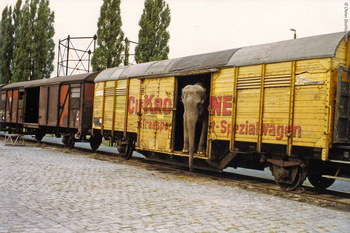 Circus Krone am Neumarkter Bahnhof