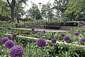 neugestalteter Stadtpark Neumarkt